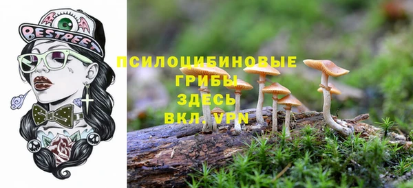 мяу мяу мука Богородск